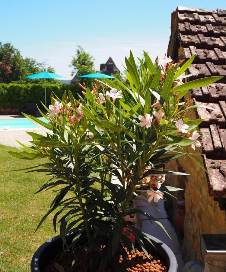 Le Clos De La Musardise - Gites De Charme Avec Piscine Chauffee Salignac Eyvigues Exterior photo